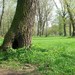 Kindergeburtstag Jena Stadtfuehrung Maerchen